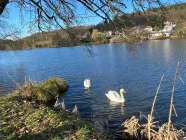 der Niederwürzbacher Weiher  