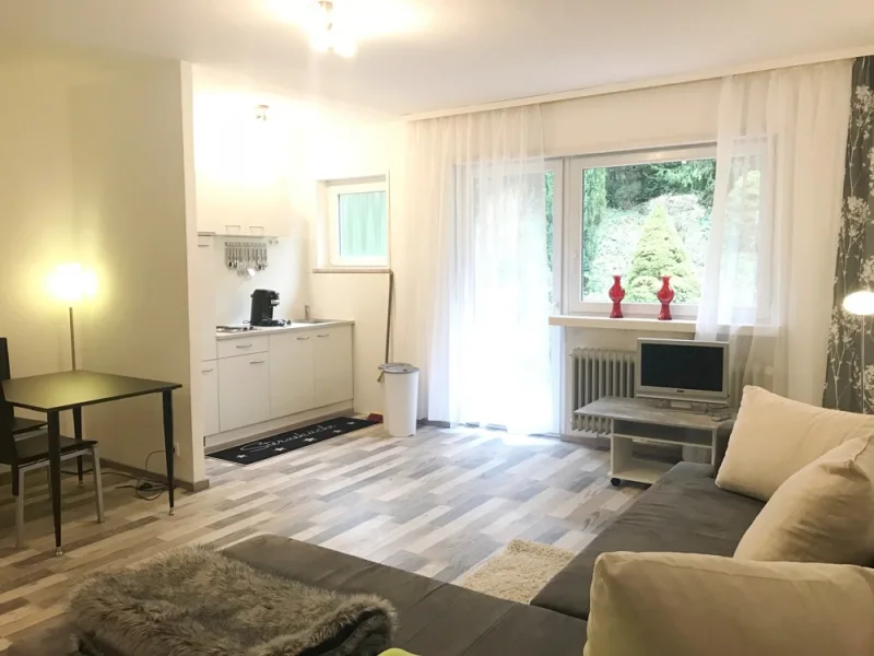 Wohn-Schlafzimmer - Wohnung mieten in Saarbrücken / Rußhütte - ++Modern möbliertes Apartment im Stadtteil     Rußhütte in Saarbrücken++