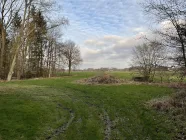 Blick auf die angrenzende (eigene) Weide und den kleinen Baumbestand