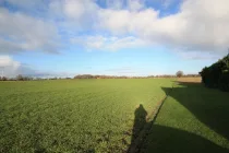 Blick ins Grüne von der Garagenzufahrt