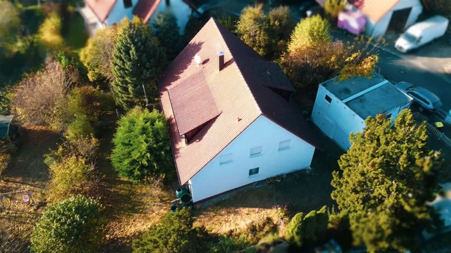 Luft11 - Haus kaufen in Markt Taschendorf - Schönes Zweifamilienhaus mit tollem Fernblick, in Hanglage und großem, wunderschönem Garten