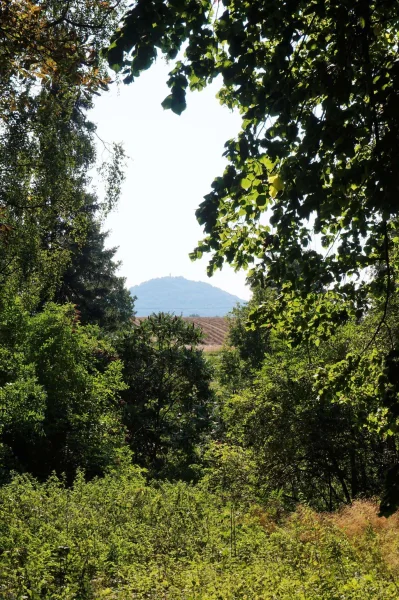 Blick auf die Landeskrone 