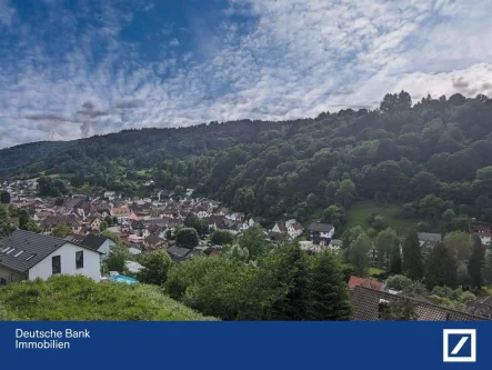 Blick ins Tal - Grundstück kaufen in Schönau - Sonniges Grundstück mit unverbaubarem mit Blick ins Tal