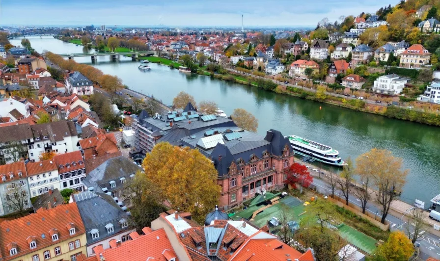 Aussicht über Heidelberg