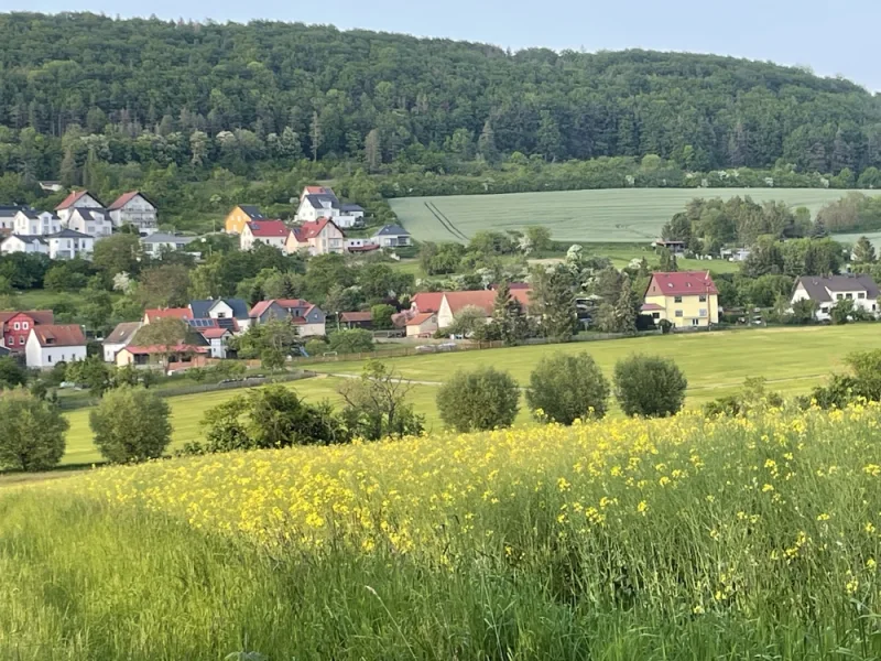 Blick auf das Wohngebiet - Grundstück kaufen in Blankenhain - Baugrundstück mit bester Aussicht - direkt oberhalb vom Spa & Golf Resort Weimarer Land - BAUTRÄGERFREI !!! -