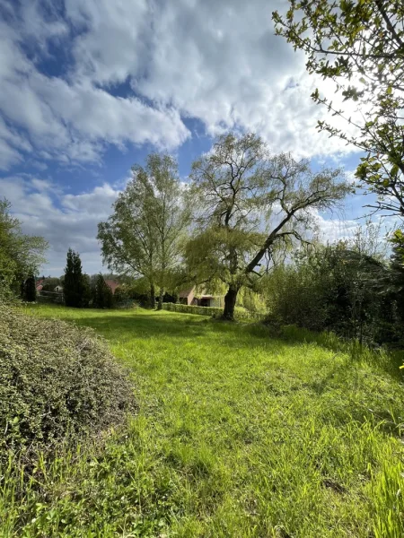 Garten - Haus kaufen in Einbeck - Einfamilienhaus mit großem Garten und Doppelgarage - traumhafter Ausblick in ruhiger, idyllischer Lage