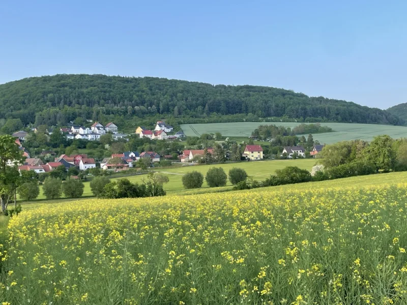 Blick auf Saalborn