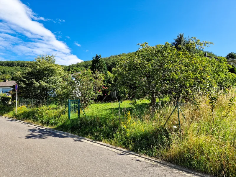 Heimbach Hasenfeld - Grundstück kaufen in Heimbach - 572 m² Baugrundstück in ruhiger Lage von Heimbach Hasenfeld inklusive Pläne und Baugenehmigung