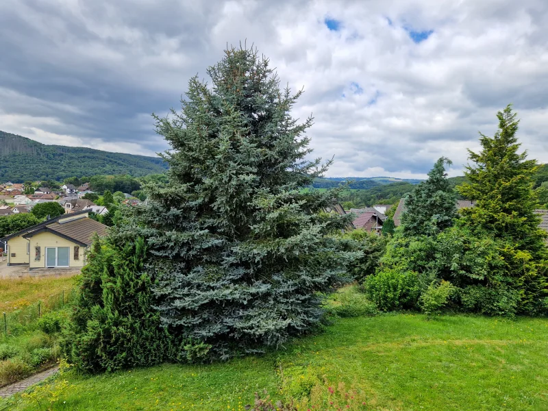 die Eifel im Hintergrund