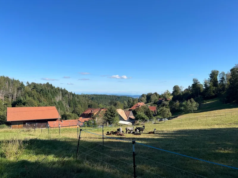 Aussicht Segalen