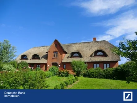 Hollandwarft in der Sonne - Haus kaufen in Pellworm - Wo die Seele ihre Gezeiten findet.