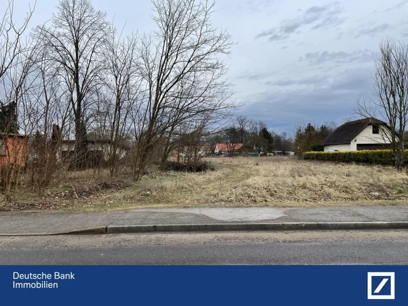 Straßenfront - Grundstück kaufen in Neuhardenberg - Baugrundstück mit Aussicht - nur insgesamt verkäuflich