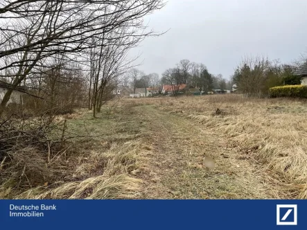 Grundstück - Grundstück kaufen in Neuhardenberg - Baugrundstück mit Aussicht - nur insgesamt verkäuflich