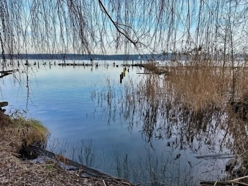 Alte und künftige Marina