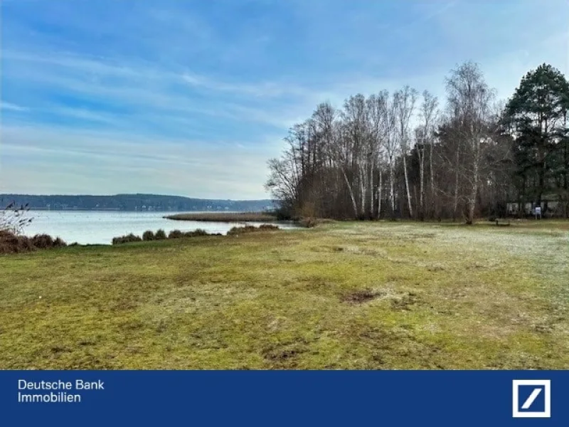 Nahes Strandbad Neptun - Haus kaufen in Bad Saarow - Baugrundstück 2. Reihe Bad Saarow Strand