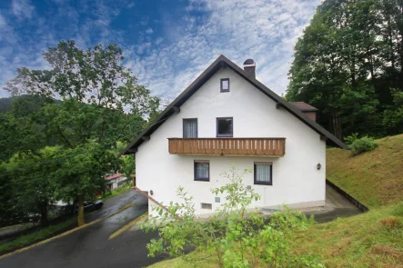 Gartenansicht - Haus kaufen in Warmensteinach - Viel viel Haus und jede Menge Grün drum rum