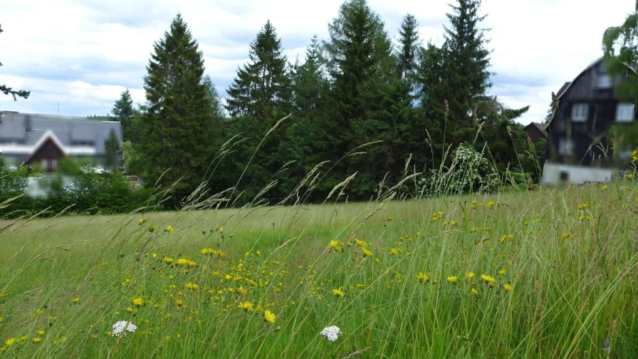 Ihr neues Bauland