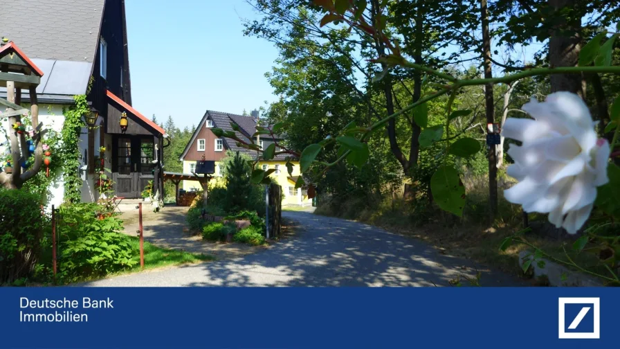 Anliegerstraße zum Haus - Haus kaufen in Altenberg - Gepflegtes Haus in idyllischer Lage