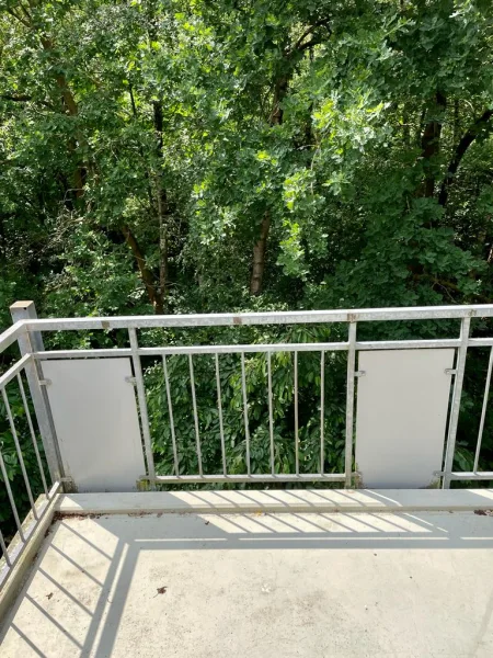 grüner Ausblick vom Balkon