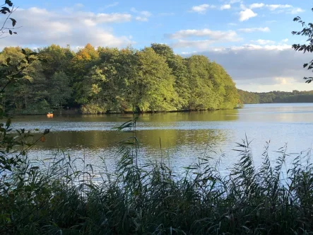 Am Lütjensee - Haus kaufen in Lütjensee - Sommermärchen in Lütjensee 