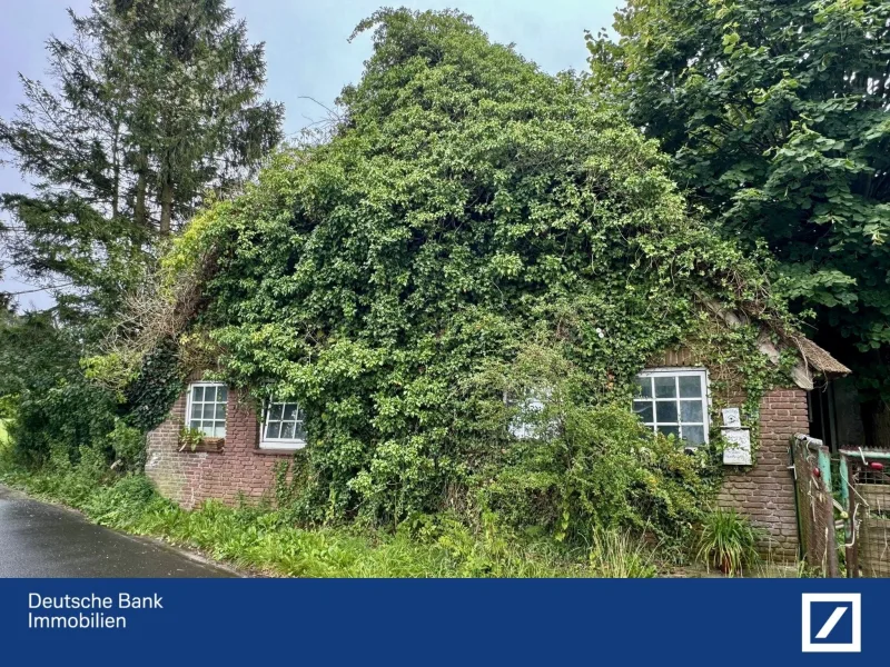  - Haus kaufen in Hohenfelde - Historisches Bauernhäuschen zum Sanieren