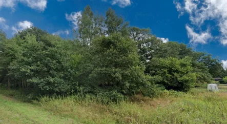 Dein erster Wald - Grundstück kaufen in Kirchhellen - Dein eigener Wald