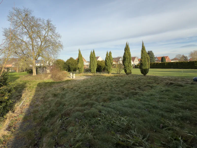 Blick in den Gartenbereich