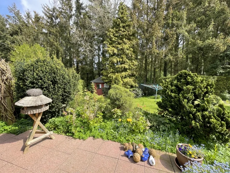 Blick in den Garten