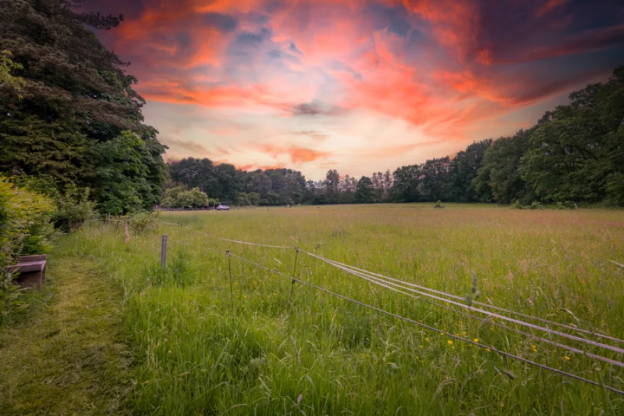 Blick über anliegende Wiesen