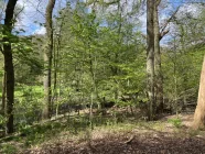 Grundstücksteil Alsterlauf