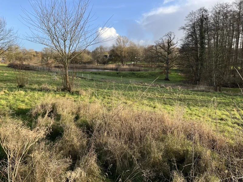 freier Blick in die Natur