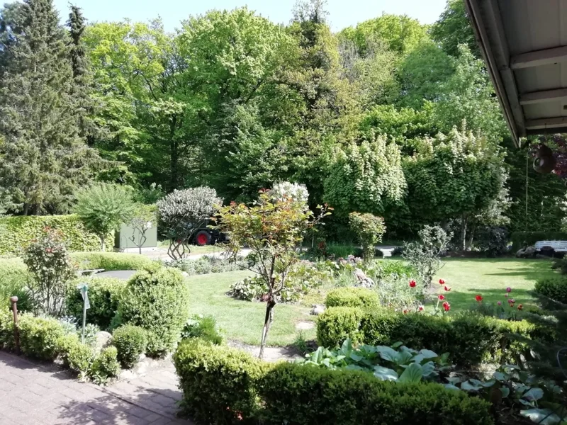 Blick von der Terrasse - Somnmerzeit