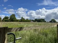 Weide hinter dem Haus - evtl. zum Anpachten