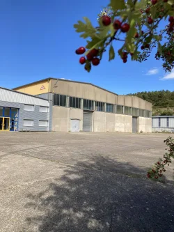 IMG_8258 - Halle/Lager/Produktion mieten in Buchen - *NEU: Gewerbehalle 1.595 m² mit großzügiger Andienung zur Miete - UK Binder ca. 9,00 m!