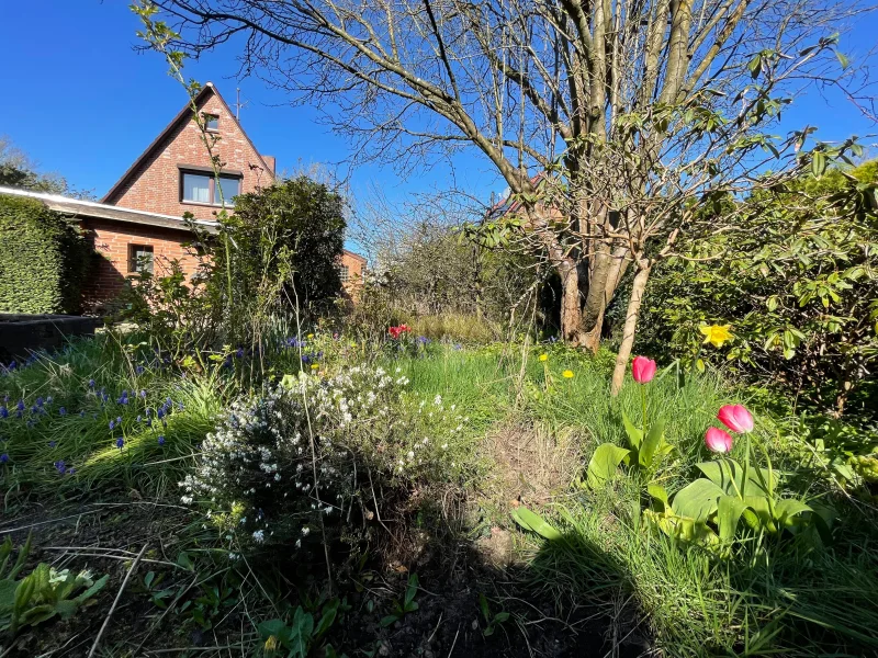 Frühling im Garten - Grundstück kaufen in Hamburg - Mit prächtigem Staudengarten...!