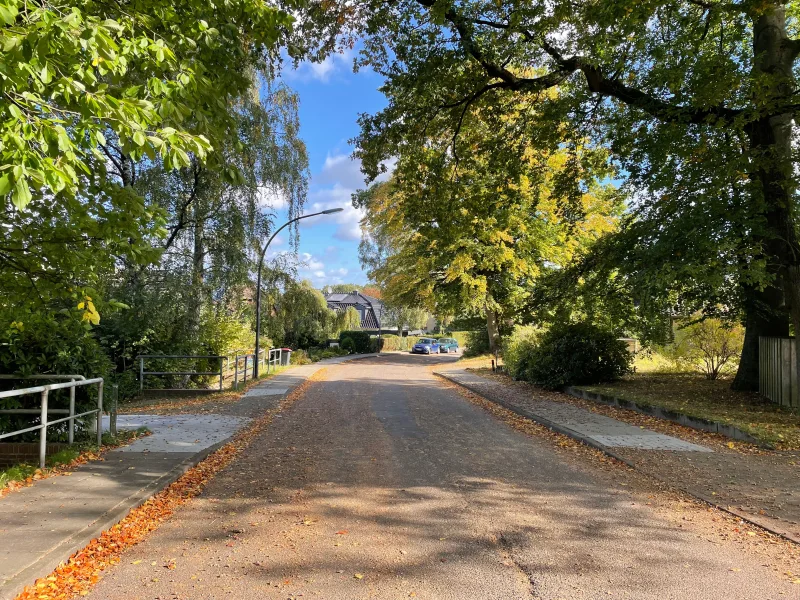 Wohnstraße, Blick Richtung 