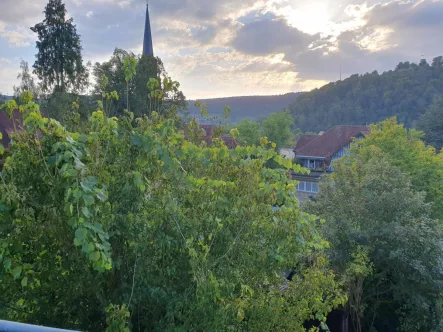 Ausblick - Dachterrasse - Wohnung kaufen in Nagold - Besondere 5-Zimmer-Maisonette-Wohnung in ruhiger Lage