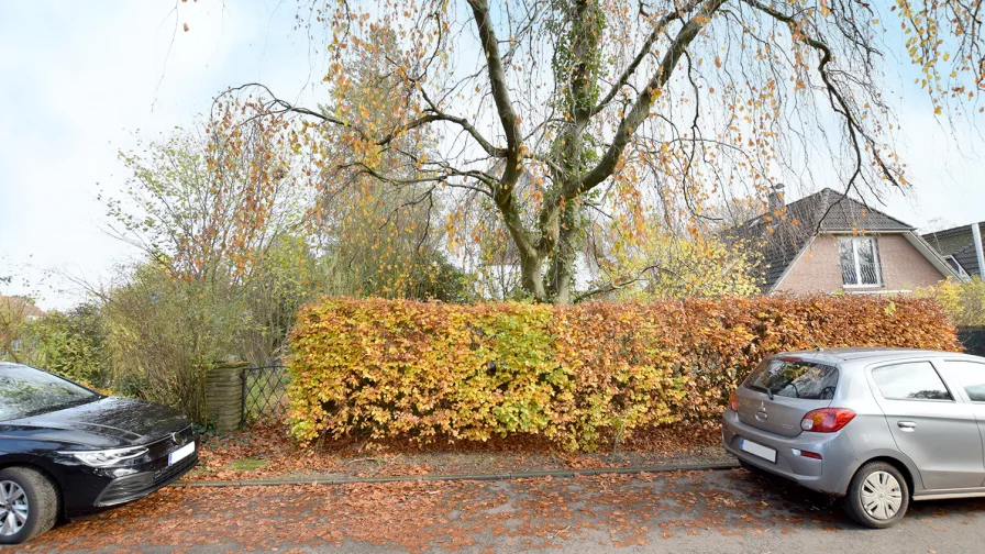 Zur Straße ist das Grundstück mit Hecke eingefriedet