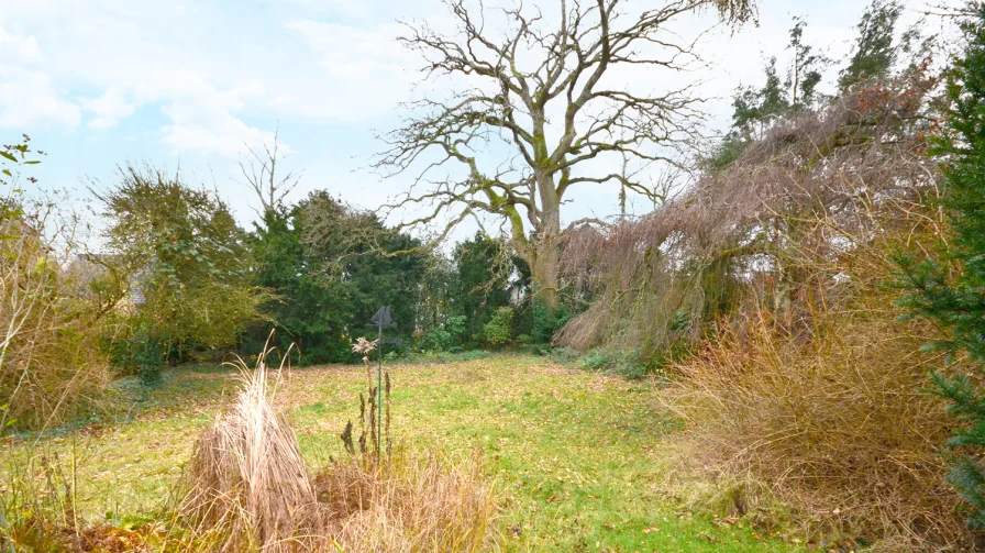 ... und ein großer Garten