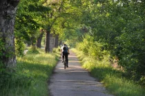 Local recreation area