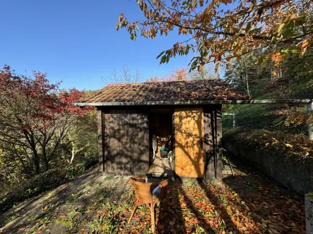 Gartenhaus - Grundstück kaufen in Remshalden-Grunbach - Gartengrundstück in den Weinbergen