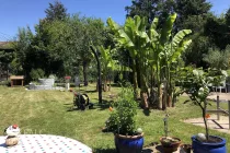 Garten-1