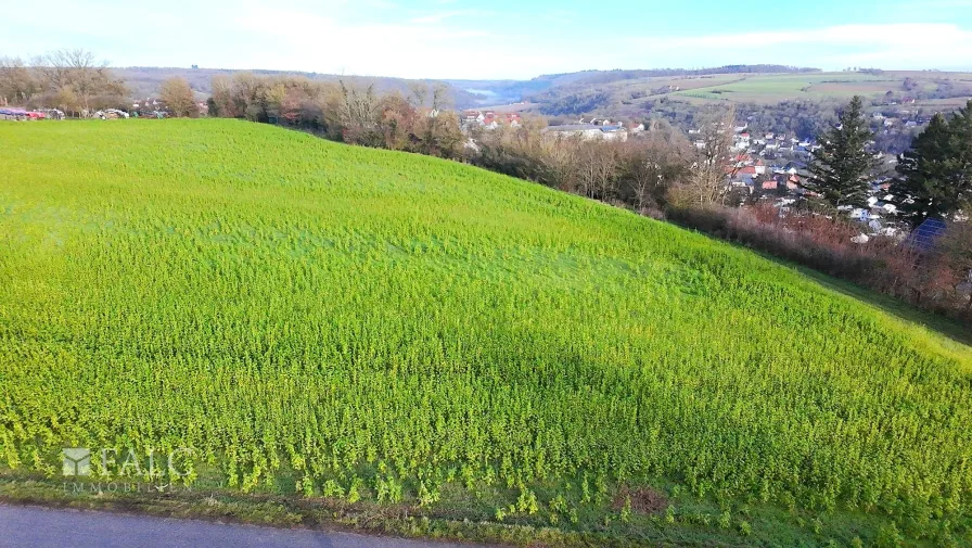 Bauen Sie hier Ihr Traumhaus!