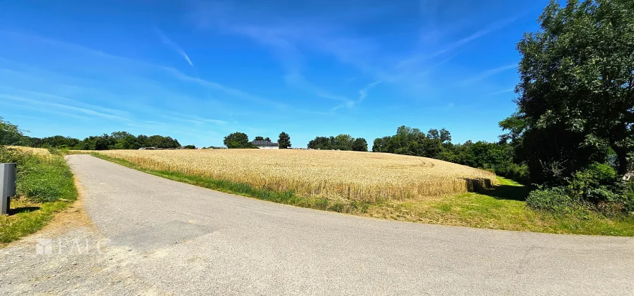 Der vielleicht beste Bauplatz!