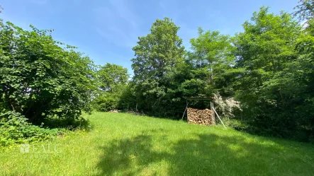 Idyllisches Grundstück in ruhiger Lage - Grundstück kaufen in Obersulm - Natur - so weit das Auge reicht!