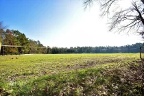 Ausblick Pferdekoppel