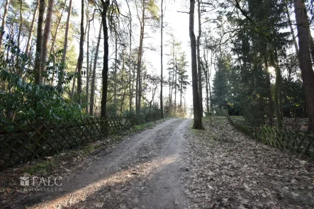  - Grundstück kaufen in Oerlinghausen - Waldgrundstück für ein Wochenendhaus / Ferienhaus