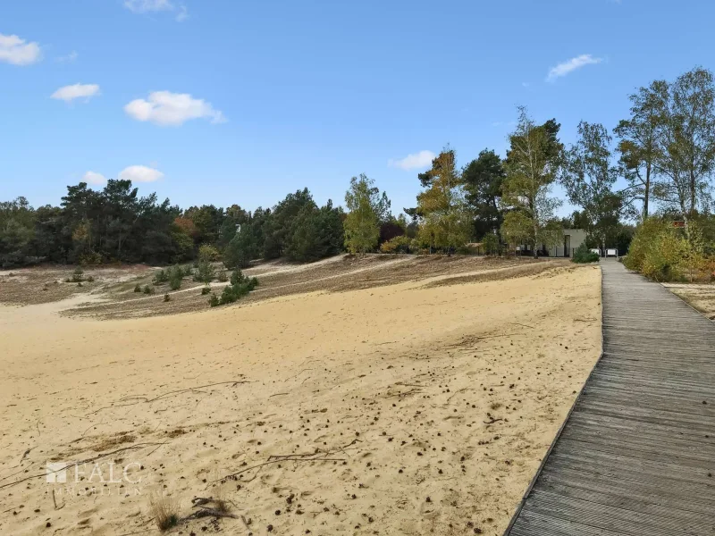 Bernsteinsee  Sandstrand