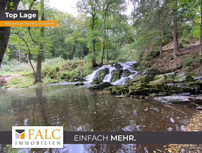 Titelbild - Zinshaus/Renditeobjekt kaufen in Harzgerode - Waldgrundstück im Nationalpark Harz: Natur-Wald im Selketal gegenüber Wasserfall  29.485 m²