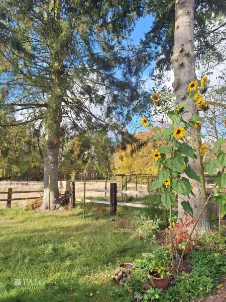 Garten mit Blick auf Natirschutzgebiet